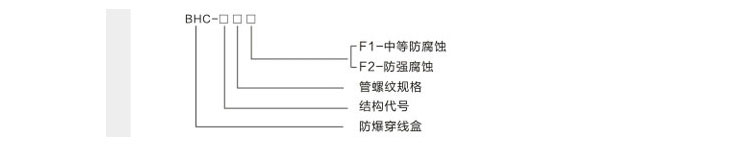 (xin)̖